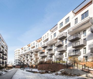 2 pokoje, balkon, Bochema - Photo 6