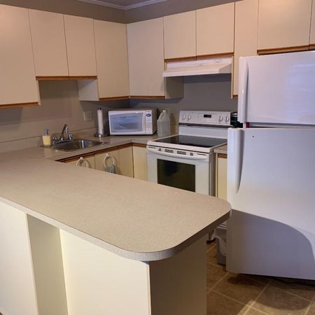 4.5 centre-ville Victoriaville - Photo 4