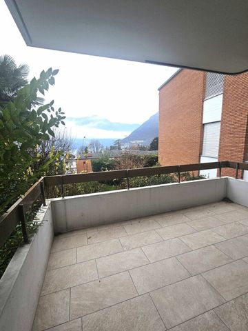 4.5 locali ristrutturato con ampia terrazza - Photo 3