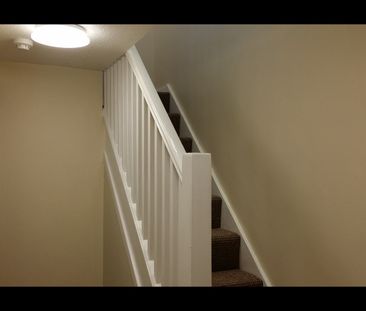 1 Bed Flat, Meanwood Road, LS6 - Photo 6