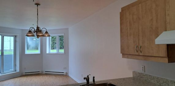 4 ½ RENOVER, Saint-Eustache avec clientèle établi de 55+ ans - Photo 2