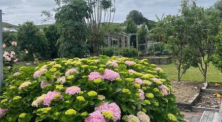 Charming 3BR fully furnished house with Garden! - Photo 4