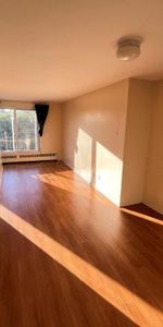1 CH - 1 SDB - Montréal - $1,250 /mo - Photo 3