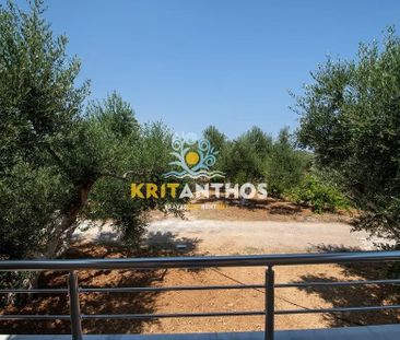 Elia Villas Pagkalochori - Φωτογραφία 4