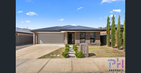 NEAT HOME WITH SIDE ACCESS AND SHEDDING! - Photo 4