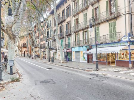 Palma de Mallorca, Balearic Islands 07001 - Photo 5