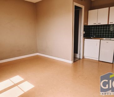 Location Appartement 1 pièce 20m² - Photo 4