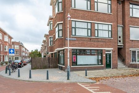 Te huur: Appartement Abrikozenstraat 90 in Den Haag - Foto 2