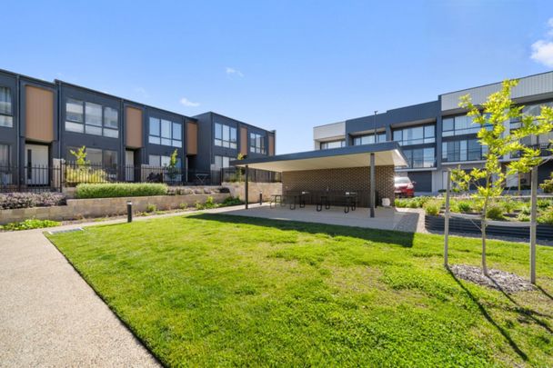 45/21 Holborow Avenue, Denman Prospect ACT 2611 - Apartment For Rent | Domain - Photo 1