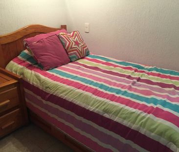 Departamento en renta Coyoacan, CDMX - Photo 3