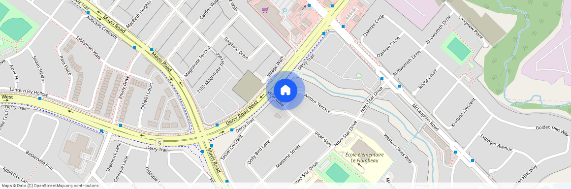 6993 Amour Terrace Unit# BSMNT, Mississauga