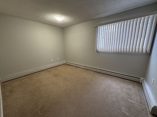 Spacious 2 Bedroom 1 Bath Apartment in the heart of Red Deer!! - Photo 1