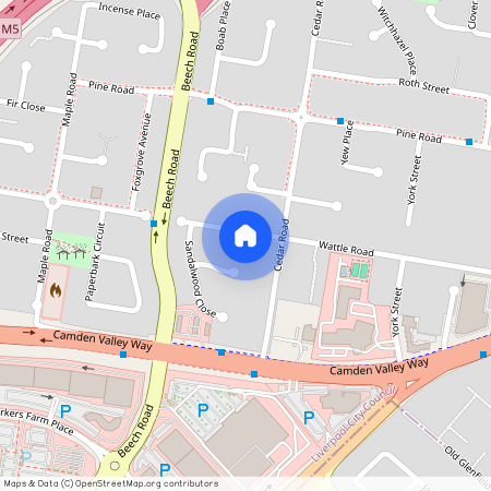 60 Wattle Road, NSW 2170, Casula