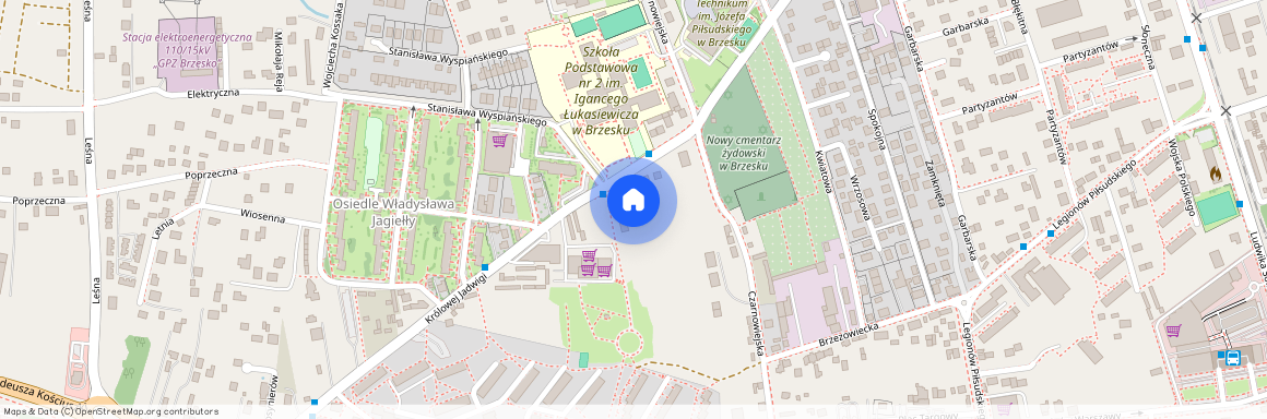 ul. Królowej Jadwigi, Brzesko, Brzesko, brzeski, małopolskie