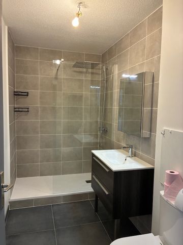 Location Appartement 1 pièce 35m² - Photo 3