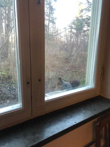 Kvarnhagsgatan, Hässelby - Photo 5