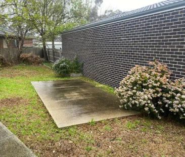 “You Can Stop Searching!” - Photo 1