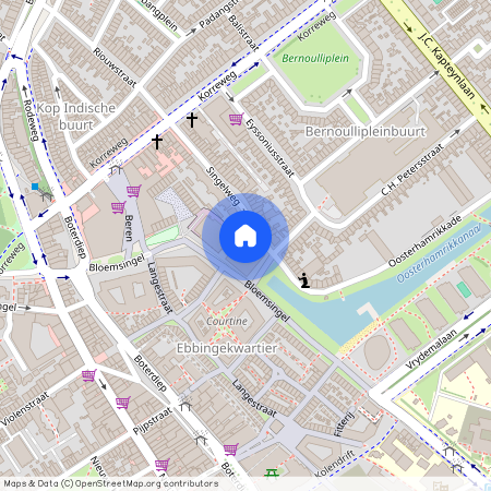 Bloemsingel 175, Professorenbuurt, 9714DS, Groningen