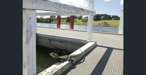 3-BEDROOM CABIN IN NICHOLSON RIVER HOLIDAY PARK - Photo 1