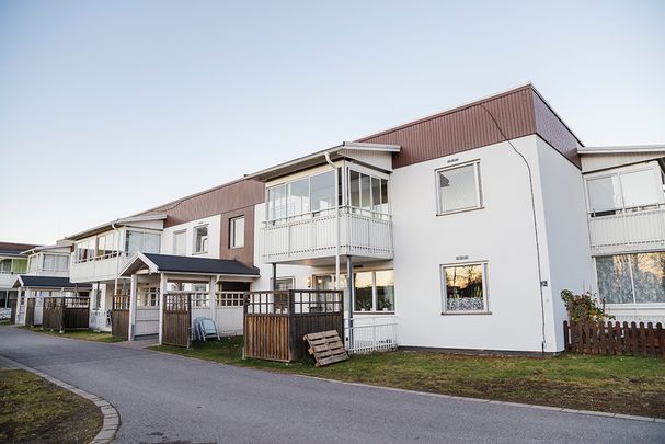 Tuvullsgränd 12 A, 94332, Öjebyn - Foto 1