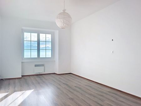 Located in the heart of the picturesque village of Epesses, this charming apartment occupies part of an authentic winegrower's house, offering a peaceful and typically Lavauxian living environment. - Photo 4