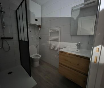 Location Appartement 1 pièce 16m² MACON 71000 - Photo 3