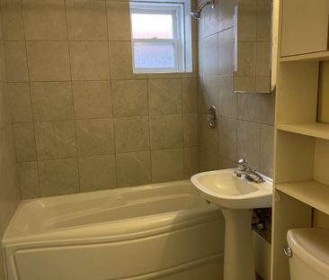 1 - 173 Florence Street - Photo 3