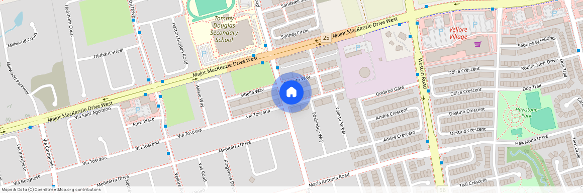 6 Muscadel Road Unit# Bsmt, Vaughan