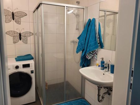 PROVISIONSFREI - Lend- 1-Zimmer-Wohnung- Balkon - tolle Infrastruktur - Photo 4