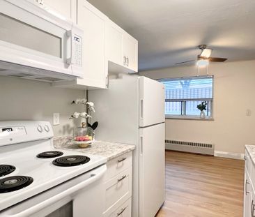 Driftwood Apartments - ALL INCLUSIVE - Photo 1