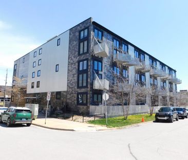 FOR RENT – 5662 Roberts Street, Suite 219, Halifax, Nova Scotia - Photo 6