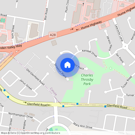 161 Kendall Drive, NSW 2170, Casula