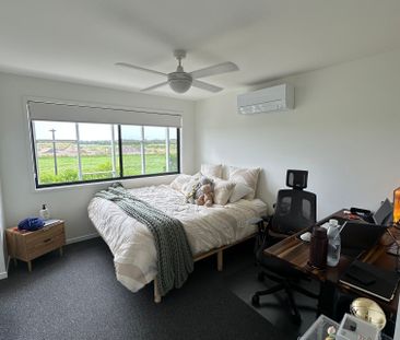 Palmview - Photo 6
