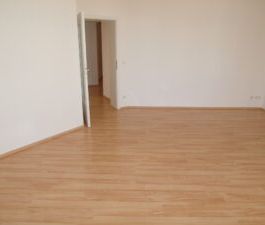 Neundorfer Str. 41, Wohnung 1 ~~~ Balkon, Tageslichtbad mit Wanne und Dusche, Abstellraum, Keller - Foto 5