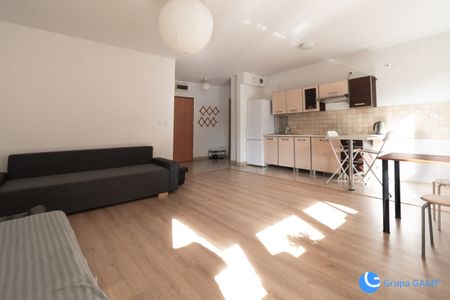 45 m2, Ruczaj, 2 pokoje, balkon, od zaraz - Фото 3