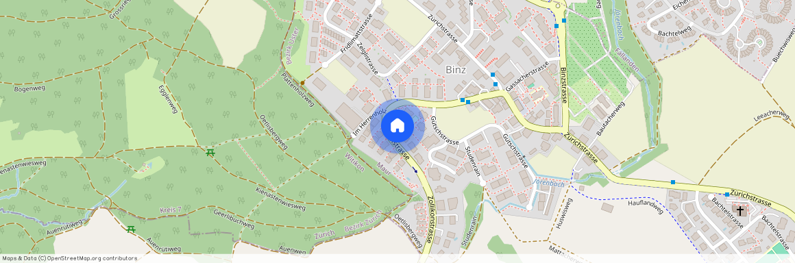 8122, Binz, Im Gütsch, 10