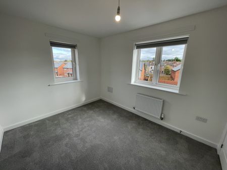 The Molina - Photo 4