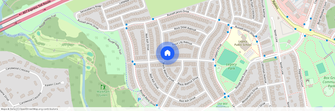 41 BLACK WALNUT DRIVE, Markham, Legacy