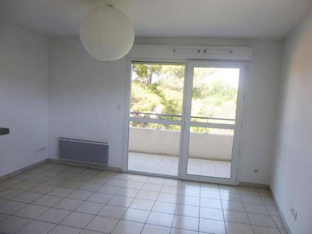 Location appartement 2 pièces 49.91 m² à Montpellier (34000) - Photo 3