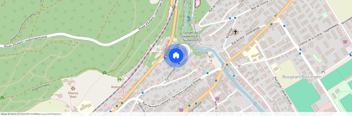 Fuchsenried 19, 2504 Biel/Bienne