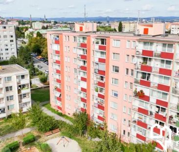 Pronájem moderního bytu 2+1 v Olomouci, ul. Schweitzerova - Fotografie 6