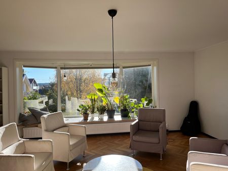 Högalidsgatan, Skellefteå - Photo 2