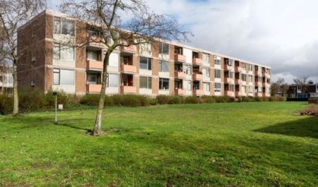 Apartment Nijmegen - Rochussenstraat - Foto 3