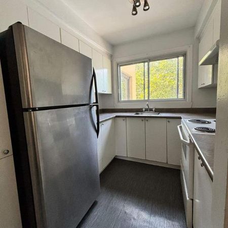 1 CH - 1 SDB - Montréal - $1,250 /mo - Photo 3
