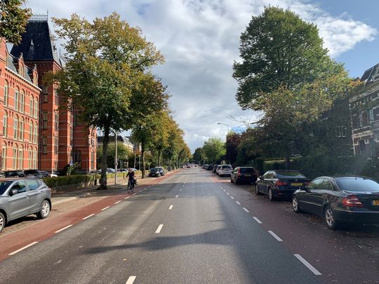 Berg en Dalseweg - Photo 1