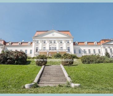 2 ZIMMER BALKONWOHNUNG IM MODERNEN NEUBAU - Foto 1