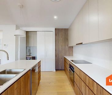 166 Maize Street, Tenambit NSW 2323 - Photo 5