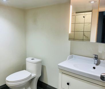 For Lease - 53 Freshspring Drive Unit# Lower level, Brampton, Ontario - Photo 3