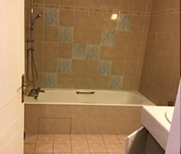 Location appartement rénové 2 pièces 47.33 m² à Saint-Julien-en-Gen... - Photo 4