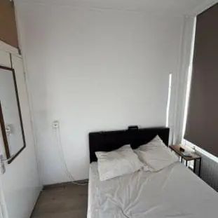 Chambre étudiante meublée Ellewoutsdijkstraat, Rotterdam - À louer - Foto 1